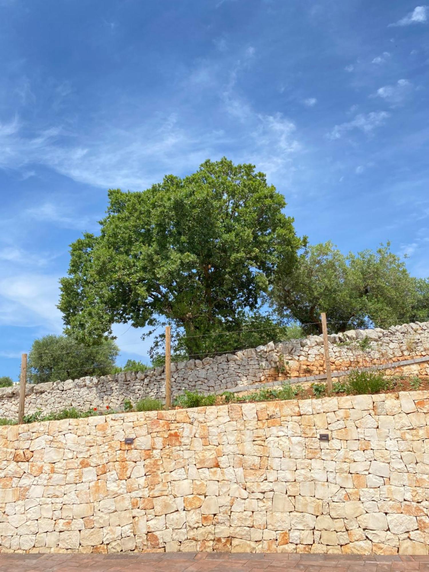 Trulli Mbs By Apulia Hospitality Apartment Локоротондо Екстериор снимка